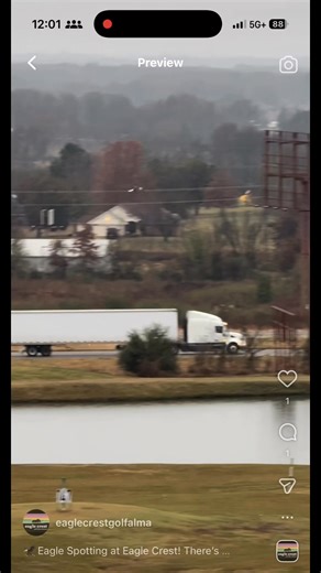 🦅 Eagle spotting at Eagle Crest! There’s nothing quite like looking up and spotting a bald eagle soaring over the course. It’s one of the many things that makes golfing here so special. If you catch an eagle while you’re out playing, snap a pic and tag us! | Eagle Crest Golf Course - Alma, AR
