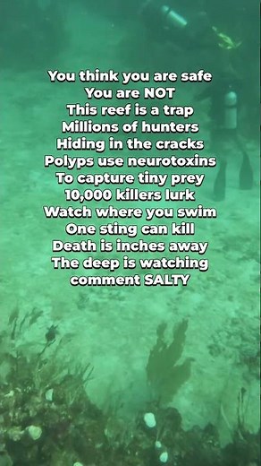 Coral Polyps - The Deadly Trap in the Reef
