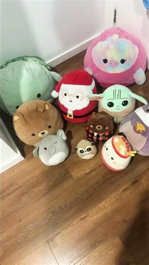 Maybe that’s too many…😂😂😂#squishmallows #fypシ゚viral #4urpage #blowup #viralshorts