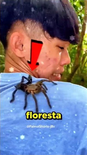 The best spider repellent 🕷️🕸️#curiosities