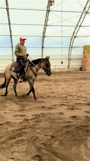 Thank you 2025 for… The growth in my business The learning opportunities The life lessons learned The people I’ve come close to The people I’ve lost The horses I’ve worked with The horses I’ve purchased The horses I’ve sold The chance to live my dream I hope 2026 is able to continue on the same path. ❤️ Happy New Year everyone! 🎉