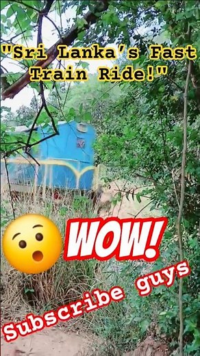 🚆 "Unbelievable Fast Train Ride in Sri Lanka 🇱🇰 | Scenic Railway Journey" #SriLankaTrain #FastTrain