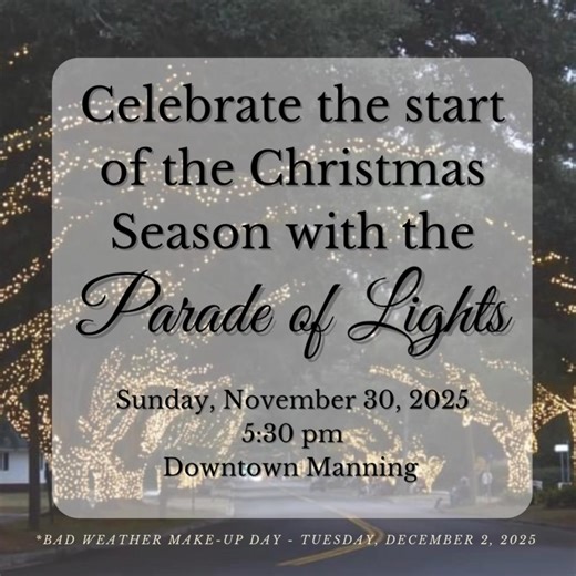 6.4K views · 29 shares | It’s the most wonderful time of the year, and we want to spend it with you! Come celebrate the start of the Christmas season with us at the 2025 Parade of Lights on Sunday, November 30, 2025, at 5:30 pm in downtown Manning. | The City of Manning, South Carolina | Facebook