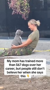 1. Medicated Shampoos Let’s start with itchy skin & hot spots — something we see all the time. Most medicated shampoos only make it worse by drying out and irritating your dog’s skin 😬 ✅ Instead, use a soothing mix of coconut oil turmeric — it reduces inflammation, fights bacteria, and heals naturally. 💬 Comment “PASTE” and I’ll send the simple recipe we use! 🌿 💩 2. Harsh meds for mild diarrhea This is one of the top reasons dogs go to the vet, but many mild cases can be handled at home! ✅ A