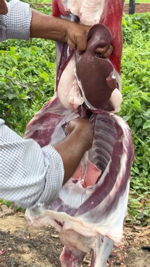Amazing goat meat processing skills