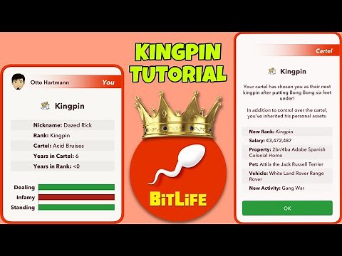 HOW TO BECOME THE KINGPIN AND SUCCESSFULLY RUN A CARTEL | dealer job pack | Bitlife