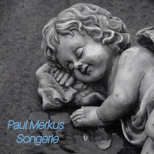 P. Merkus | Songerie #flute #music #contemporarymusic #fluteplayer #relaxingmusic