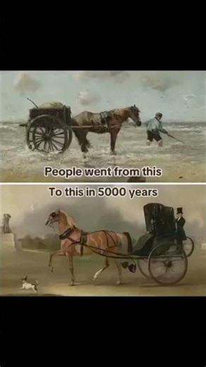 Memes that feel illegal to watch