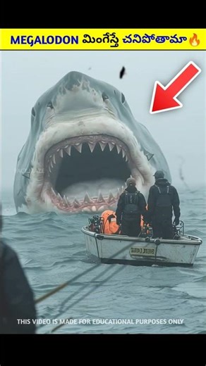 Megalodon మింగేస్తే చనిపోతామా 🔥|#telugufacts #telugu #shorts #viralnews #viral