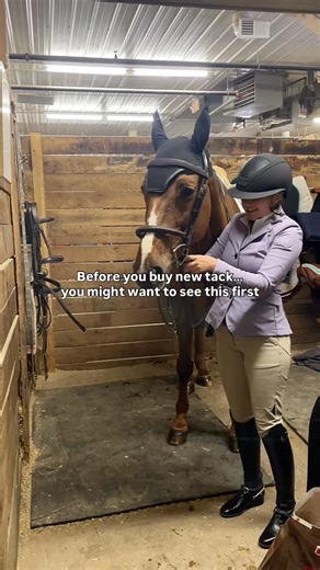 TackTack on Instagram: "Because the truth? All the saddles, bridles, pads, boots, and show gear you’re about to replace are probably already on Tacktack: gently used, and priced way smarter. Secondhand doesn’t mean settling. It means saving your wallet, upgrading your setup, and finding pieces that still have miles left in them🫶🏼 Download the app for smarter shopping🛍️ #tacktackroom #equestrianmarketplace #equestrianlife #tackforsale #tack #consignment #consignmenttack #secondhandapp #secondh
