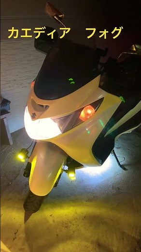 フォグとLED、フォグ #フォグランプ