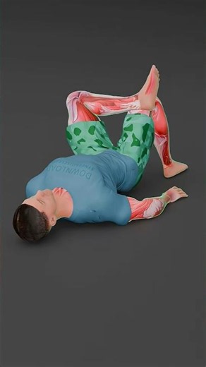 Lower Back & Mid-Back Relise Strech#mobility #stretching #backpainrelief #anatomy