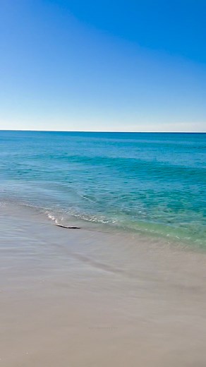 2.7K views · 4.1K reactions | Life wakes with the sun ☀️ mornings renew our choices, weekends redeem our breath, and every new beginning is a quiet invitation to begin again. | April Porter | Facebook