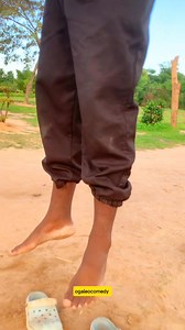 On avocado tree? | Oga Leo Comedy