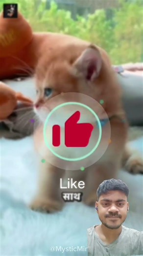 Aap k sath kuchh aysa hi ga #funny #facts #pets #lifeisbutadream #actingchallenge #nothingimposible