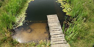 Sideways View to Making an Organic Pool