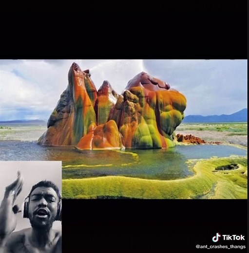 ANT_CRASHES_thangs on TikTok