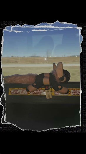 road trip to my new home with my partner #furry #protogen #roadtrip