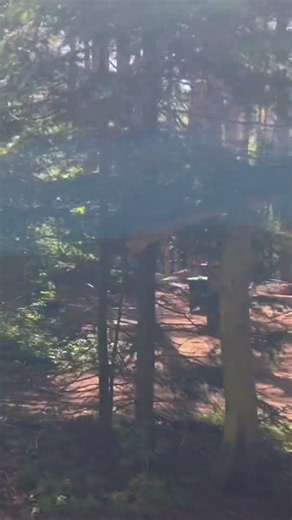 Thomas Dambo Troll BASSE BULLER #wildcenter #nature #adirondacks #travel #troll