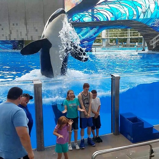 57M views · 702K reactions | Let's go to the aquarium! What could possibly go wrong? 藍 | America's Funniest Home Videos | Facebook