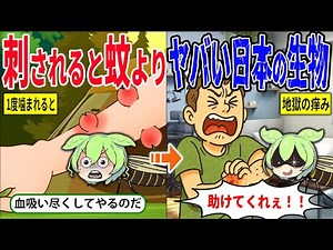 蚊よりヤバい！？キャンプ場に大量発生するブヨとは何者なのか？【ずんだもん＆ゆっくり解説】