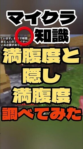 【マイクラ️⭕️知識】満腹度と隠し満腹度について調べてみた【Minecraft/minecraft/まいくら】