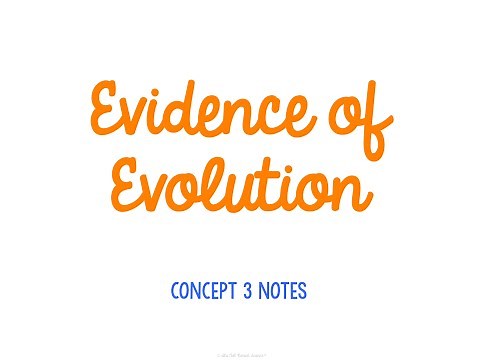 Unit 6 Evolution Concept 3 Notes *UPDATED*