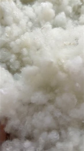 Where is Elif Sinem? #elifsinemtv