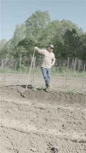 Basic Gardening 101