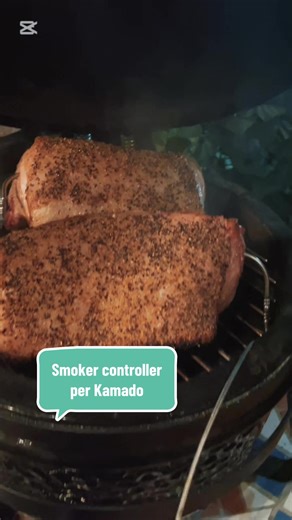 Inkbird ISC-027BW Smoker Controller per Kamado