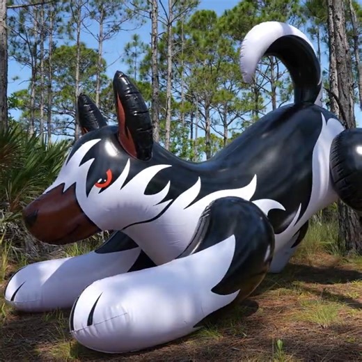 Black and White 8-Foot-Long Husky Ride-On Toy Inflation