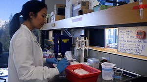 Author Spotlight: Enhancements in Gene Expression Regulation Research