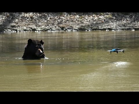 Bebop Drone & Animals : 1st drone operated by a Zoo Team (Thoiry, France)