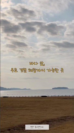 #부안펜션 #변산반도숙소 #변산반도펜션 #부안스파펜션 #부안갯벌체험 #변산가족여행 #부안가족숙소 #변산여행 #부안여행 #전북여행 #아이와여행 #가족여행추천 #스파펜션 #바다앞숙소
