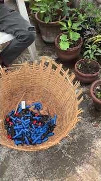 automated drip irrigation system