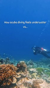 2.6K views · 1.5K reactions | Do you ever feel like the real...