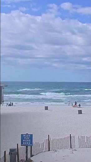 🌴 Unbelievable Vibes at Pineapple Willys Beach, Panama City!