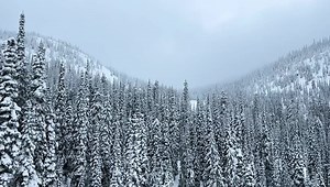 An Arctic front will bring snow, colder air & gusty winds this evening through tomorrow. Low visibility at times and accumulating snow will impact travel during this period. Prepare for a slick AM commute! It’s a good idea to give yourself extra time. NBCMontana.com/weather | NBC Montana