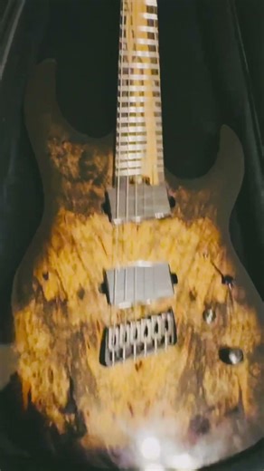 Legator Guitars #metal #blackmetal #guitar #legatorguitars #dimmuborgir