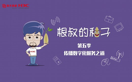 【根叔的种子】S05E29 FlexE技术介绍