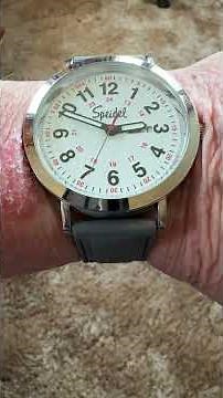 An Honest Plug for Speidel Watches - #Shorts
