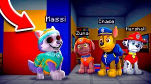 161K views · 4.1K reactions | En el vídeo de hoy trolleo a Paw Patrol...