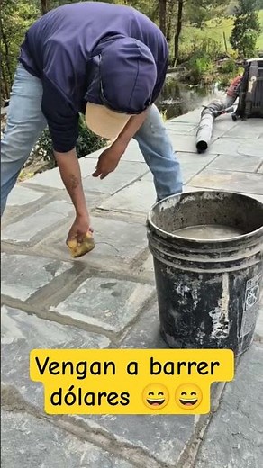 This is how dollars are collected 😄 #humor