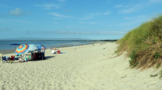 Cape Cod Beach Guide 2025: Over 100 beaches from Bourne to Provincetown