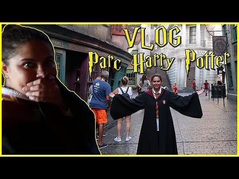 The Wizarding World Of Harry Potter Vlog