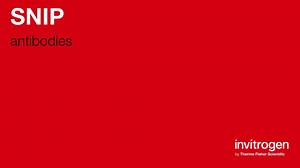 SNIP antibodies from Thermo Fisher Scientific