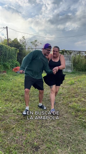 La Gran Amapola: Un Encuentro Divertido