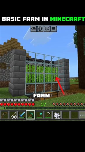 My Basic Minecraft Farm 🌾