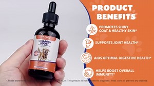 Liquid Collagen for Dogs, Dog Joint Supplements, Skin and Coat Supplement, Dry and Itchy Skin Relief, Support Digestive Health, Dog Collagen Drops with Biotin, MSM, Ginger, Bacon Flavor