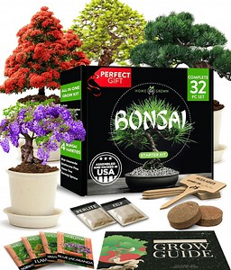 [Hot Item] Complete Bonsai Tree Kit with Colorful Decorative Pots